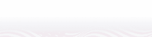 A minimalist, low-contrast footer graphic featuring a wide-angle view of a stylized waving flag.